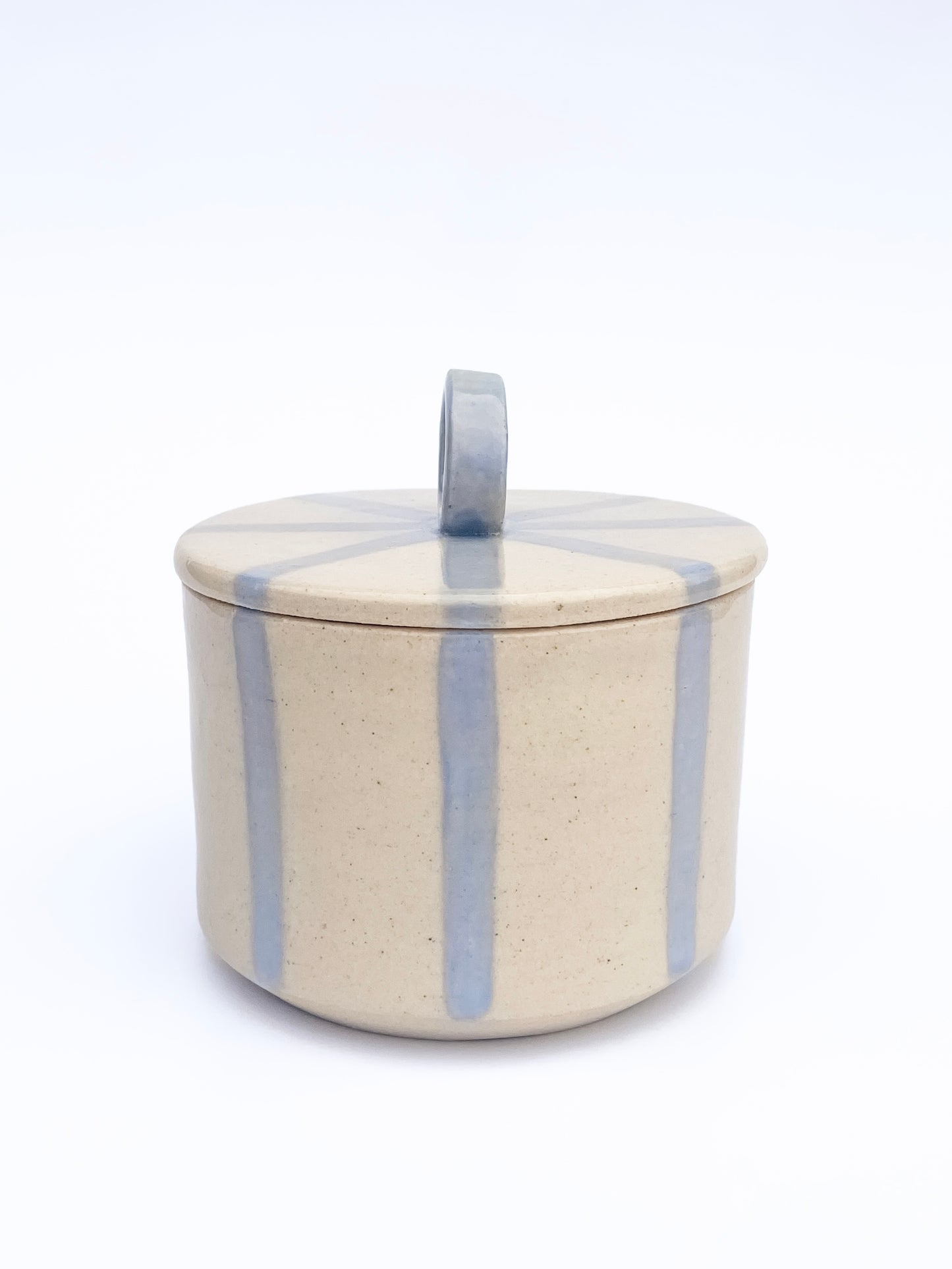 Blue Stripe Canister with a Handle | Medium