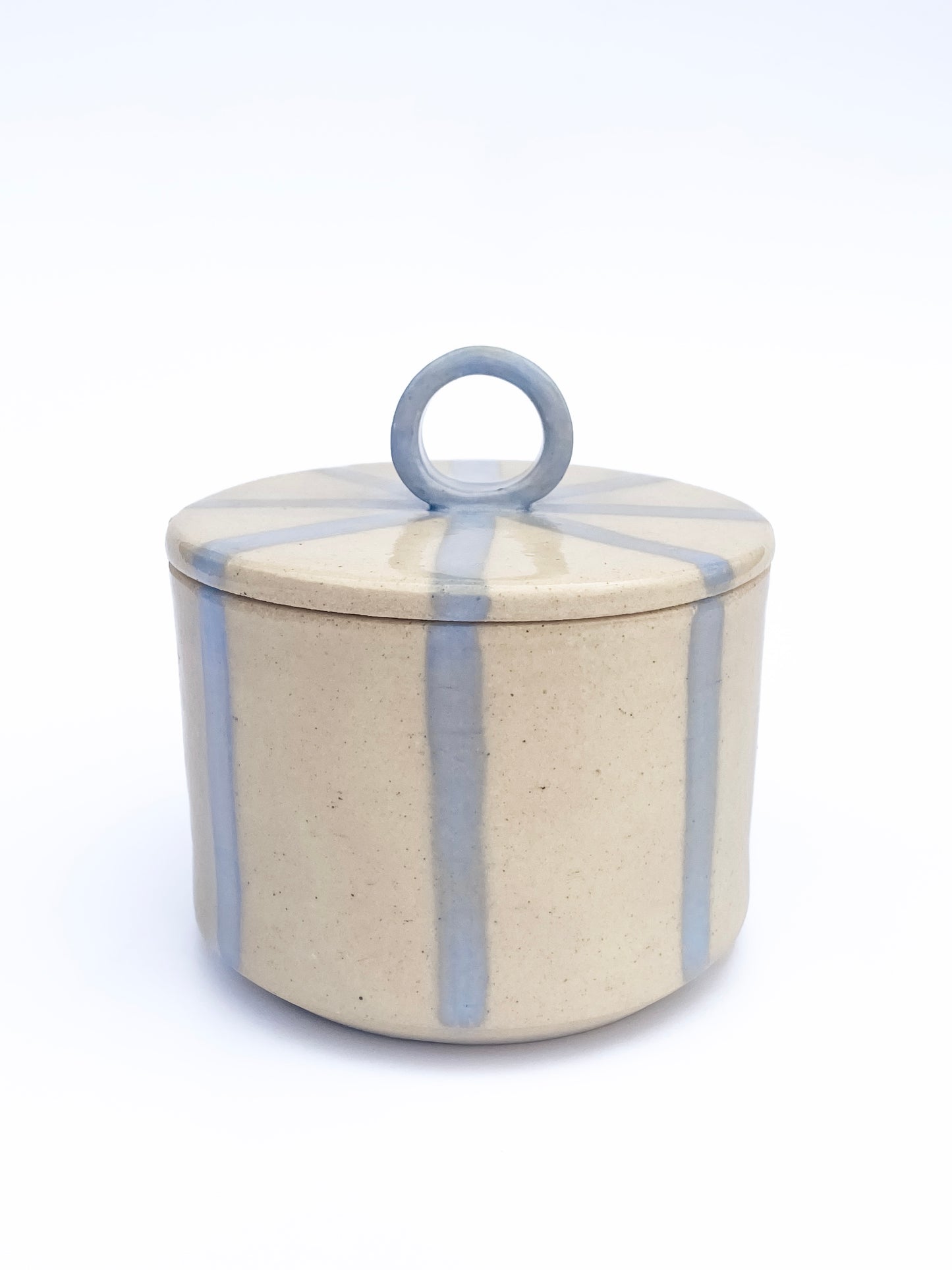 Blue Stripe Canister with a Handle | Medium