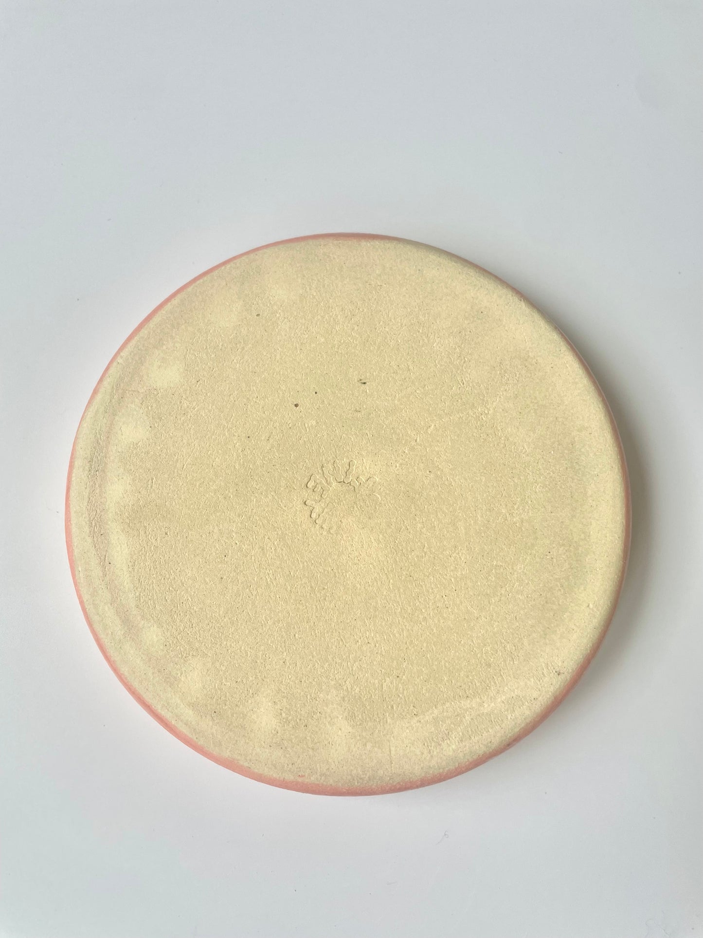 Pink Illustrated Plate | Small | Seconds (-20%)